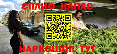 бошки Славгород