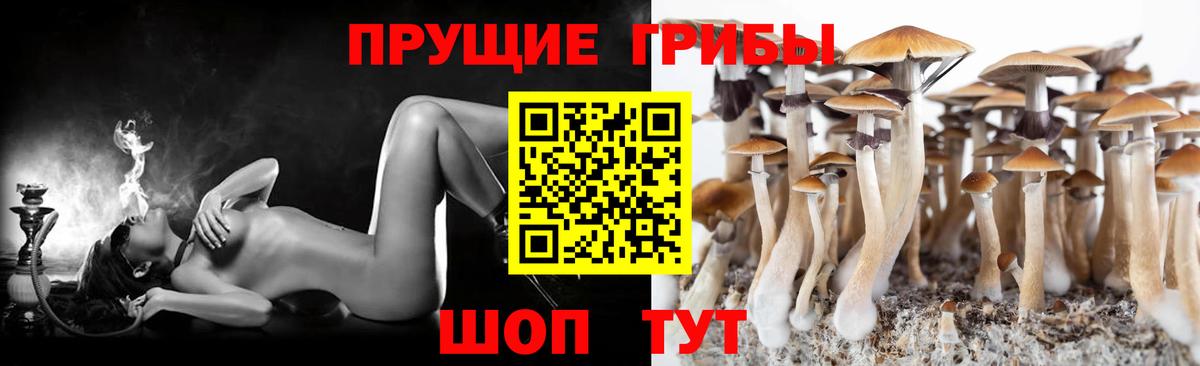 Октябрьский  Псилоцибиновые грибы Cubensis  закладки  Вход с VPN 